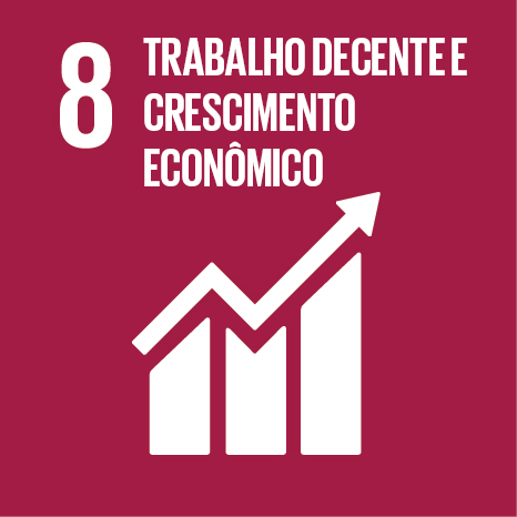 objetivo trabalho decente
