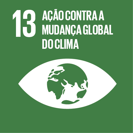 objetivo ação pelo clima