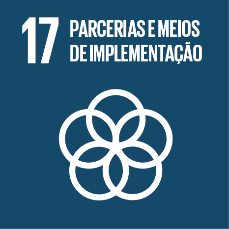 objetivo parcerias e meios de implementação